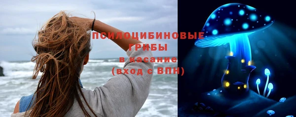 apvp Богородицк