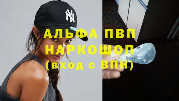 винт Богданович