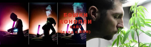 apvp Богородицк
