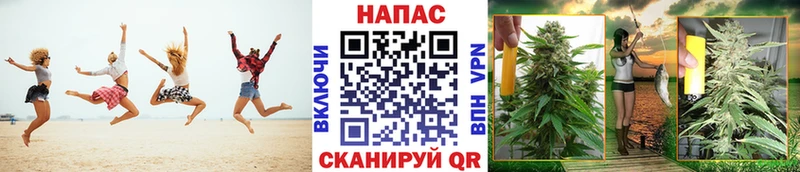 Канабис план  где купить наркоту  ОМГ ОМГ как зайти  Сорск 